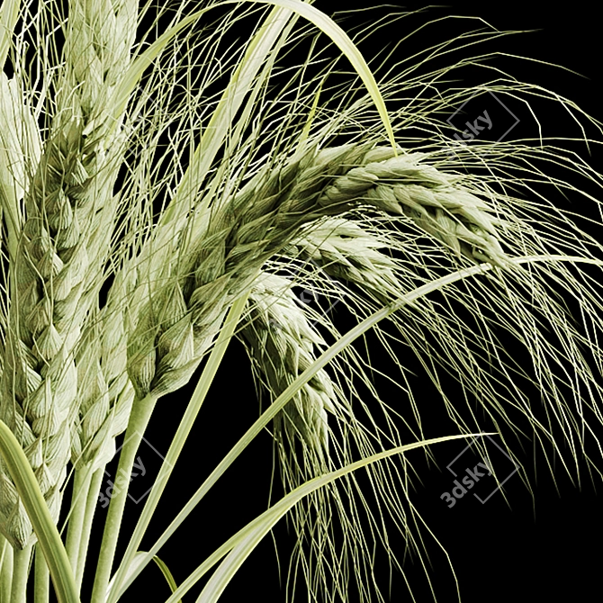 Elegant Dry Plant Set: V-Ray/Corona 3D model image 4