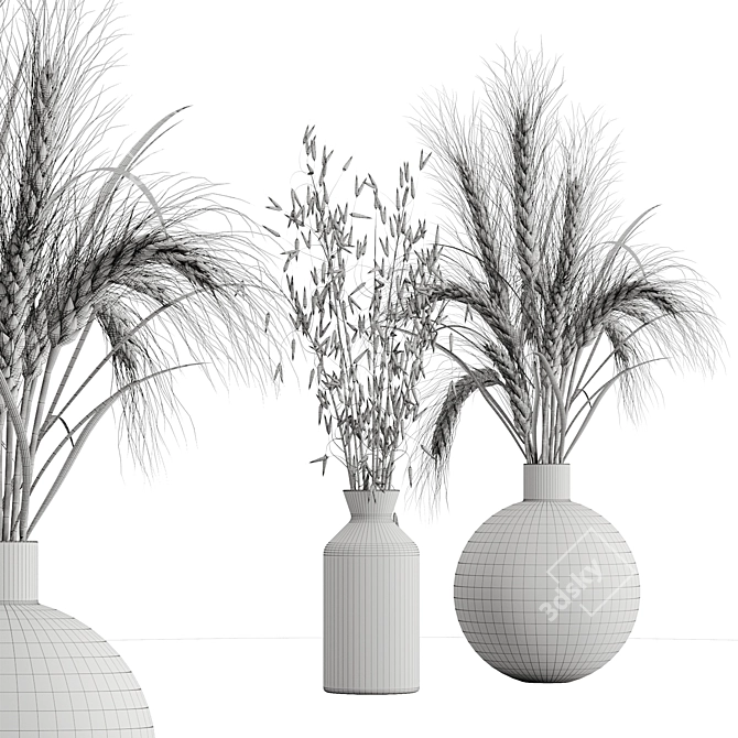 Elegant Dry Plant Set: V-Ray/Corona 3D model image 7