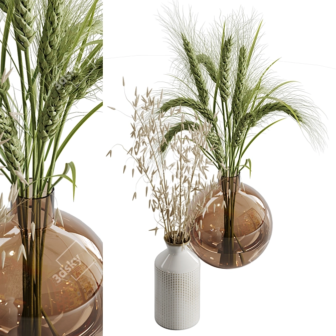 Elegant Dry Plant Set: V-Ray/Corona 3D model image 8