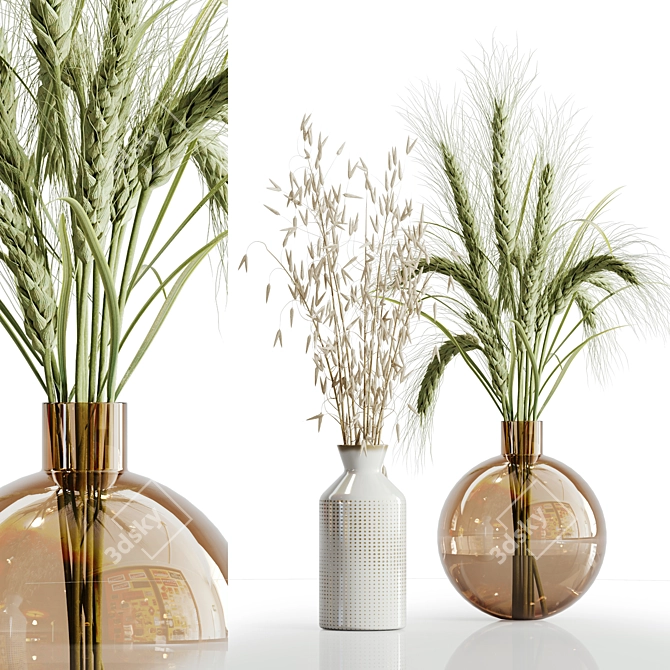 Elegant Dry Plant Set: V-Ray/Corona 3D model image 9