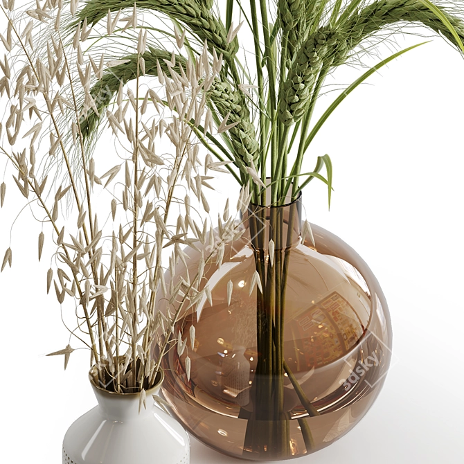 Elegant Dry Plant Set: V-Ray/Corona 3D model image 10