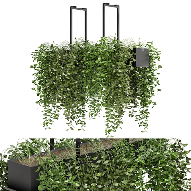 Metal Box Indoor Hanging Plants - Set 214 3D model image 3