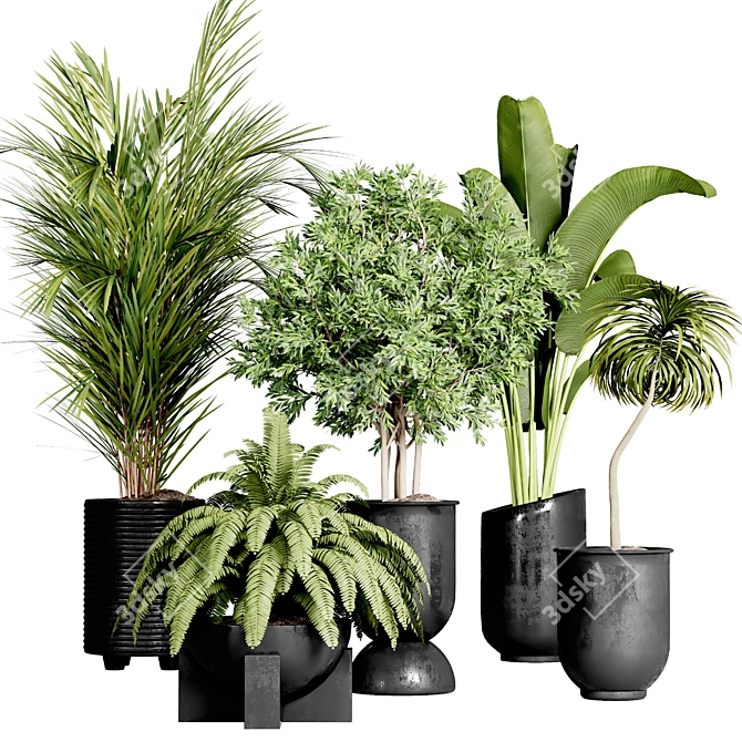 Indoor Plant Collection: 36 Varieties 3D model image 1