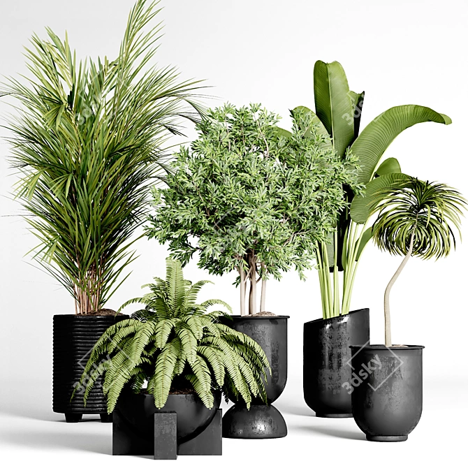 Indoor Plant Collection: 36 Varieties 3D model image 2