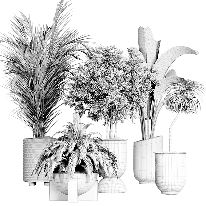 Indoor Plant Collection: 36 Varieties 3D model image 6
