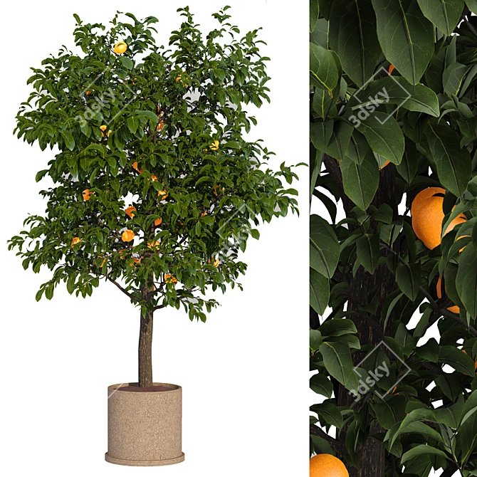 Fresh Citrus Lemon Tree 3D model image 1