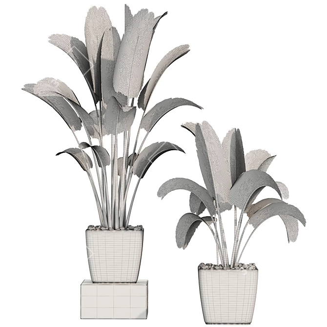 Premium Plant Collection 3D model image 2