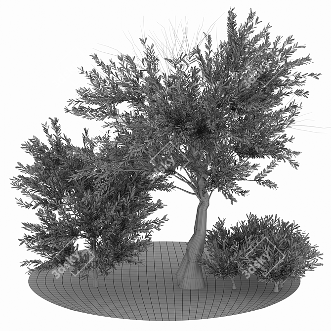 Evergreen Paradise: Olive Tree & Bush 3D model image 5