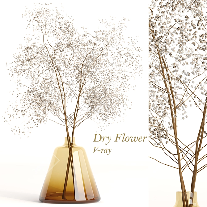 Elegant Dry Flowers Arrangement 3D model image 5