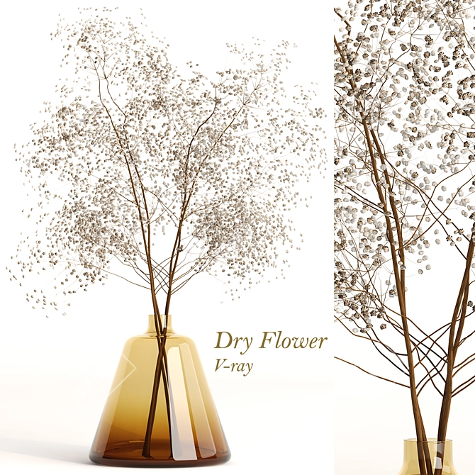 Elegant Dry Flowers Arrangement 3D model image 7