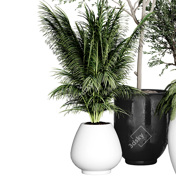 Indoor Plant Collection: 37 Varieties 3D model image 2