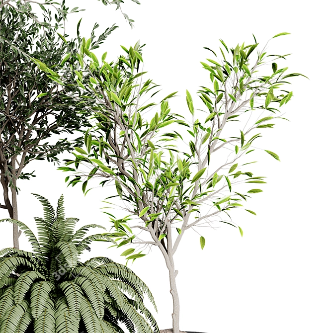 Indoor Plant Collection: 37 Varieties 3D model image 4