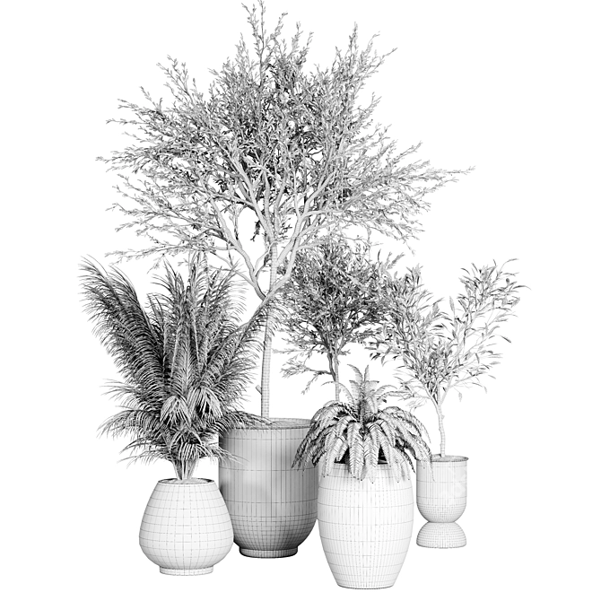 Indoor Plant Collection: 37 Varieties 3D model image 5