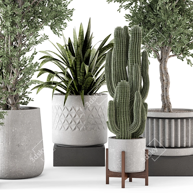  Rusty Concrete Pot Set with Indoor Plants 3D model image 3