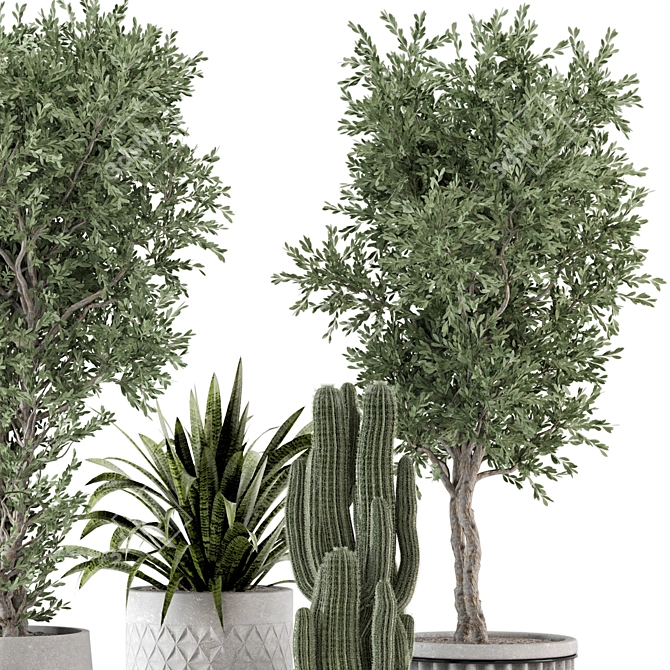  Rusty Concrete Pot Set with Indoor Plants 3D model image 4