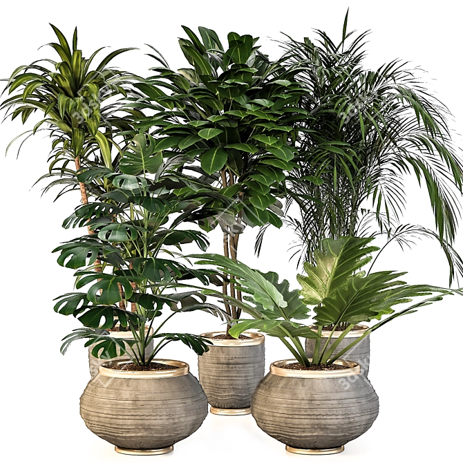 Green Oasis: Indoor Plant Set 3D model image 1