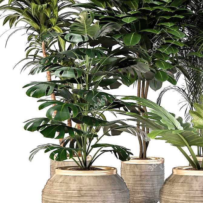 Green Oasis: Indoor Plant Set 3D model image 4