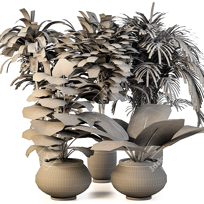 Green Oasis: Indoor Plant Set 3D model image 5