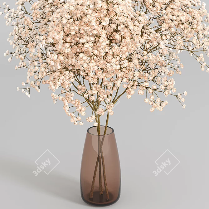 Elegant Perennial Gypsophila - Timeless Beauty 3D model image 2