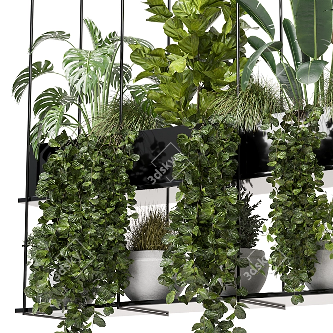 Metal Box Set: Indoor Hanging Plants 3D model image 5