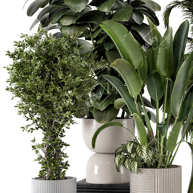 Green Oasis: Ferm Living Bau Pot Large Set 3D model image 4