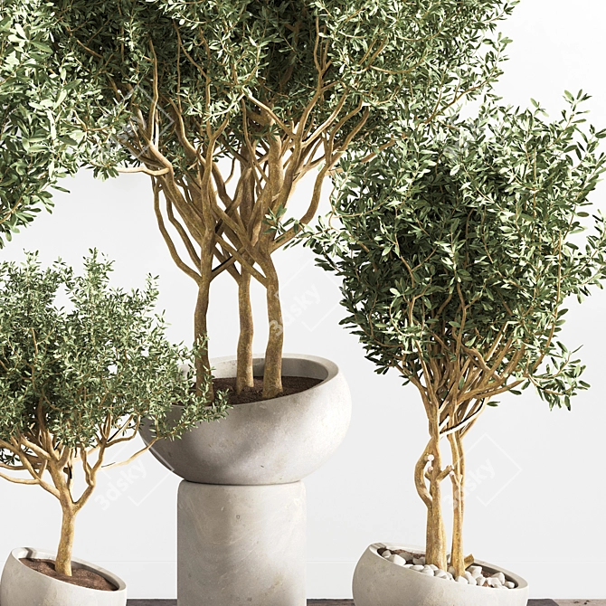 Versatile Indoor Plant - Modern Design 3D model image 3