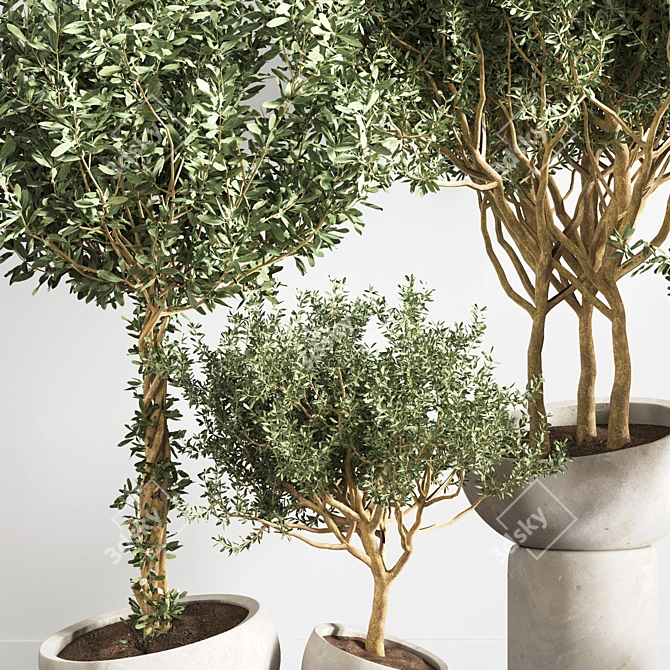 Versatile Indoor Plant - Modern Design 3D model image 4