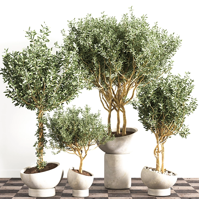 Versatile Indoor Plant - Modern Design 3D model image 6