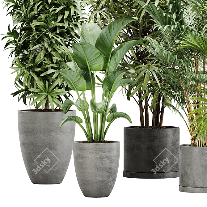  Lush Green Indoor Plant Set 3D model image 2