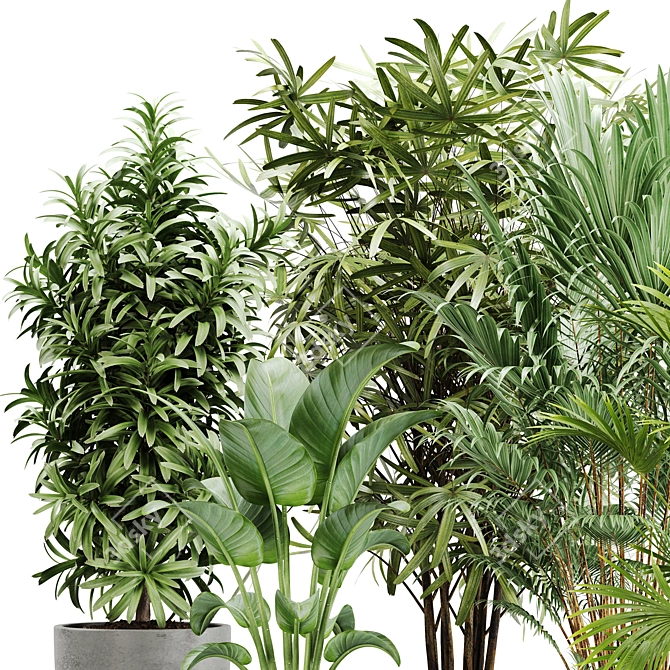  Lush Green Indoor Plant Set 3D model image 5