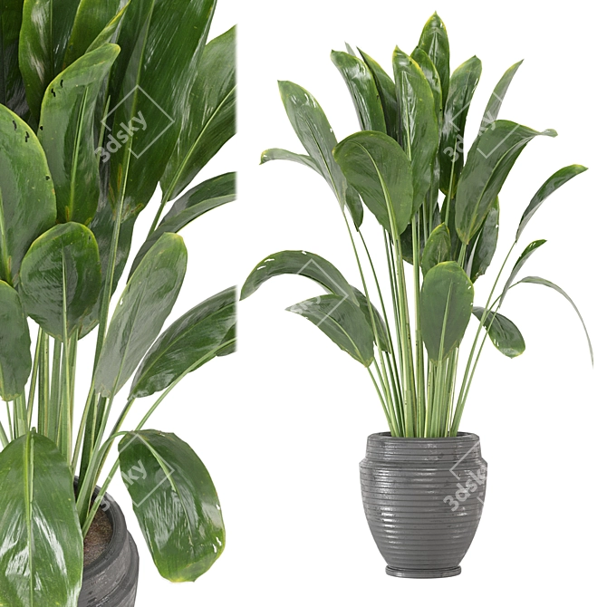 Botanical Bliss: Indoor Plants Collection 3D model image 1