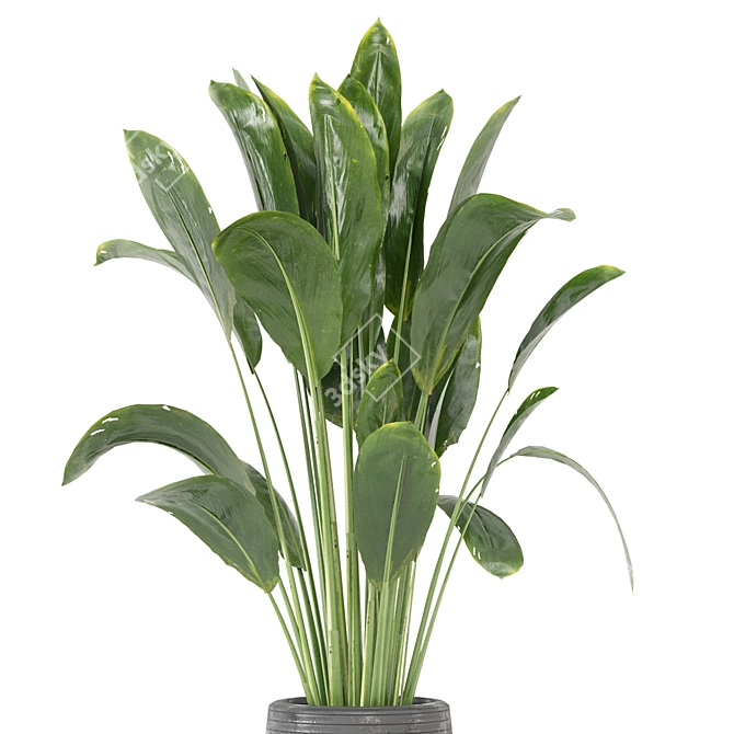 Botanical Bliss: Indoor Plants Collection 3D model image 4