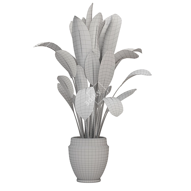 Botanical Bliss: Indoor Plants Collection 3D model image 5