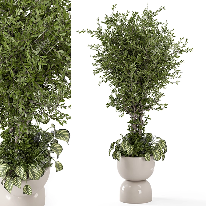 Rusty Pot Indoor Plant Set 3D model image 1