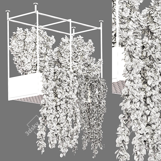 Modern Indoor Plant Vol 33 3D model image 2