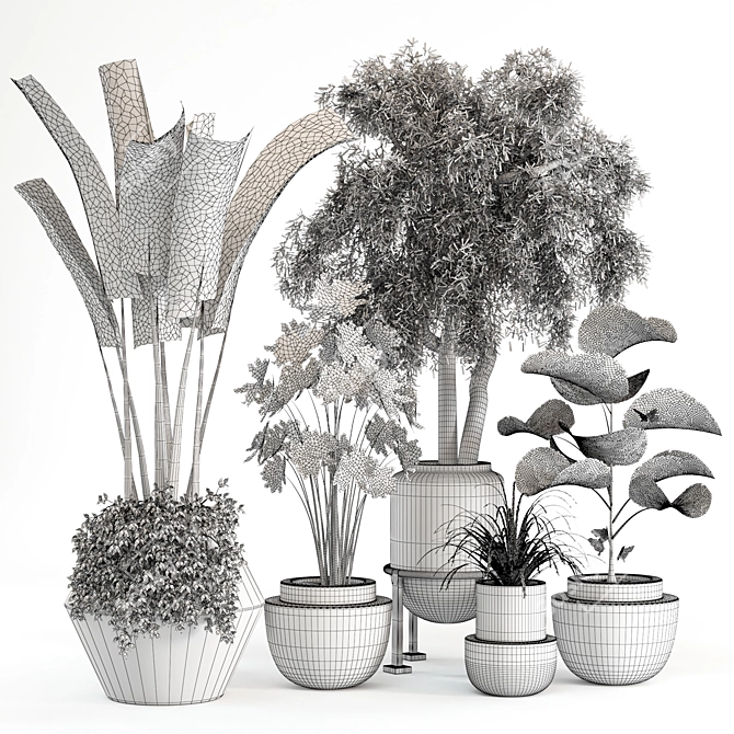 Tropical Oasis: 5 Indoor Plants 3D model image 4