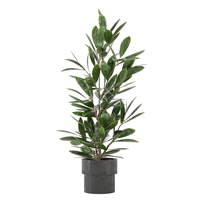 Lush Indoor Plants Collection - Set 220 3D model image 4