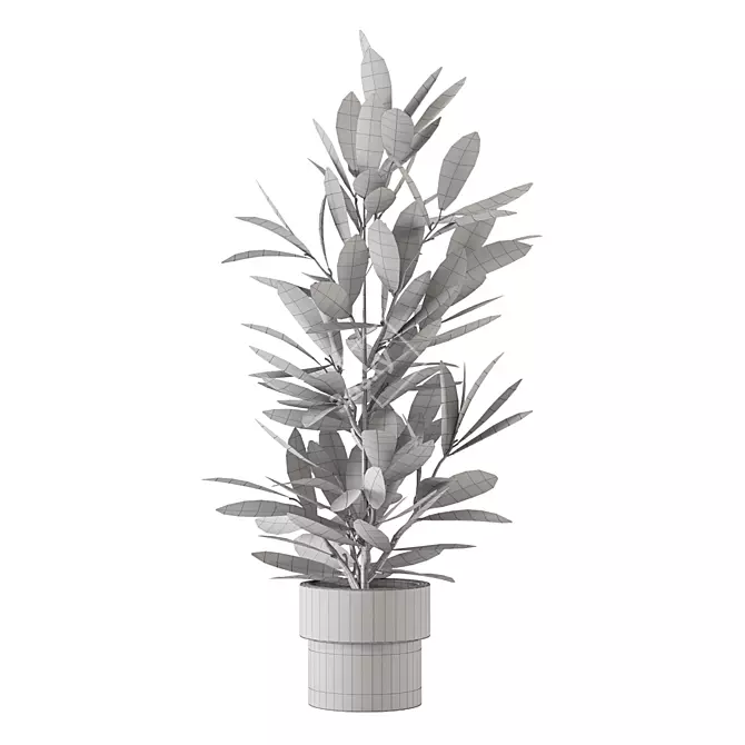 Lush Indoor Plants Collection - Set 220 3D model image 5