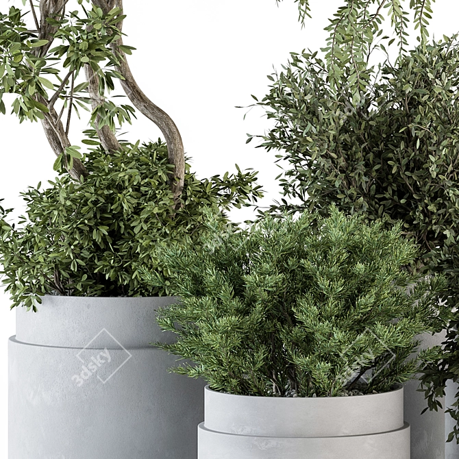 Gray Pot Indoor Plant Set 3D model image 3