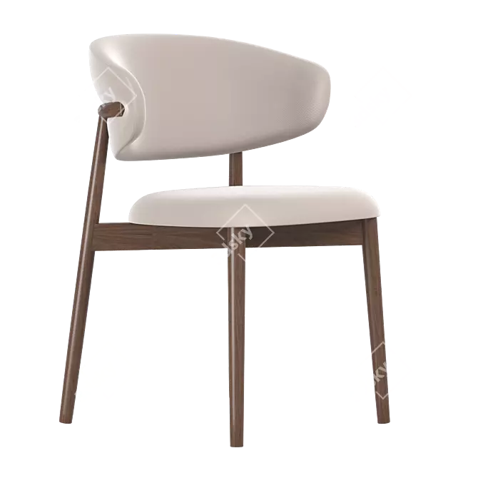 Modern Oleandro Dining Chair 3D model image 1