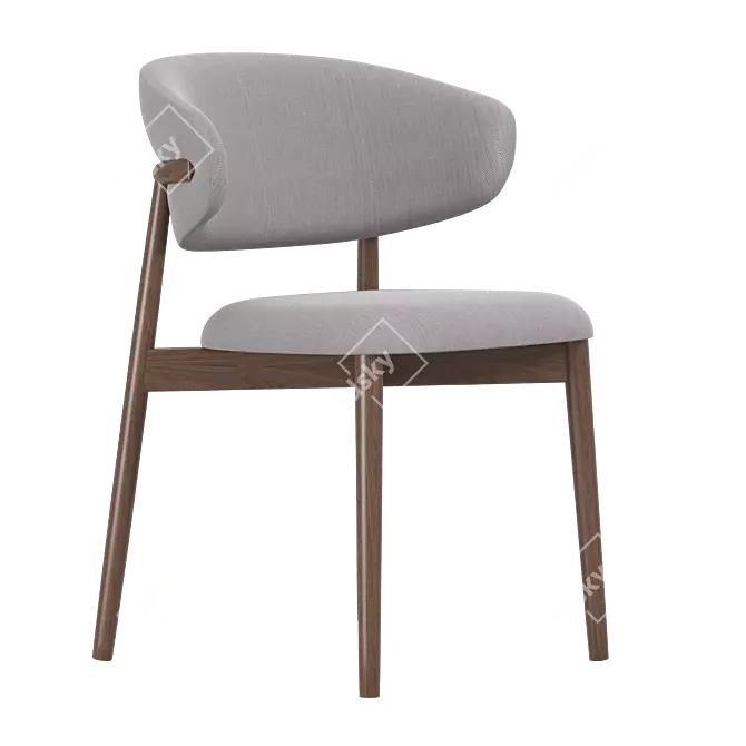 Modern Oleandro Dining Chair 3D model image 2