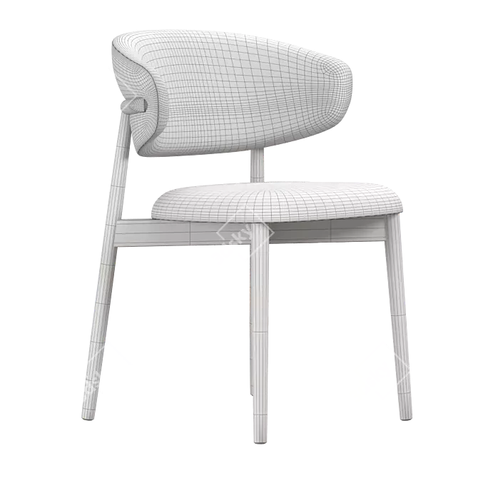 Modern Oleandro Dining Chair 3D model image 3