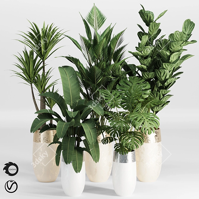 Tropical Indoor Plant Set 3D model image 1