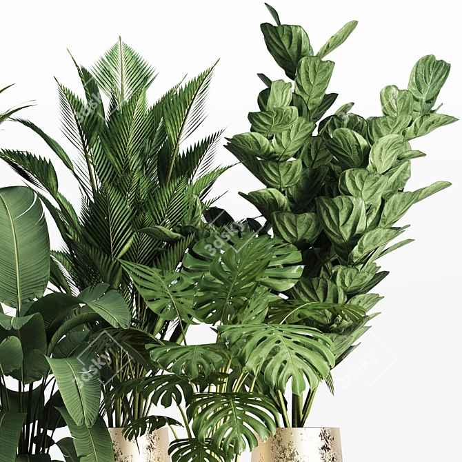 Tropical Indoor Plant Set 3D model image 4