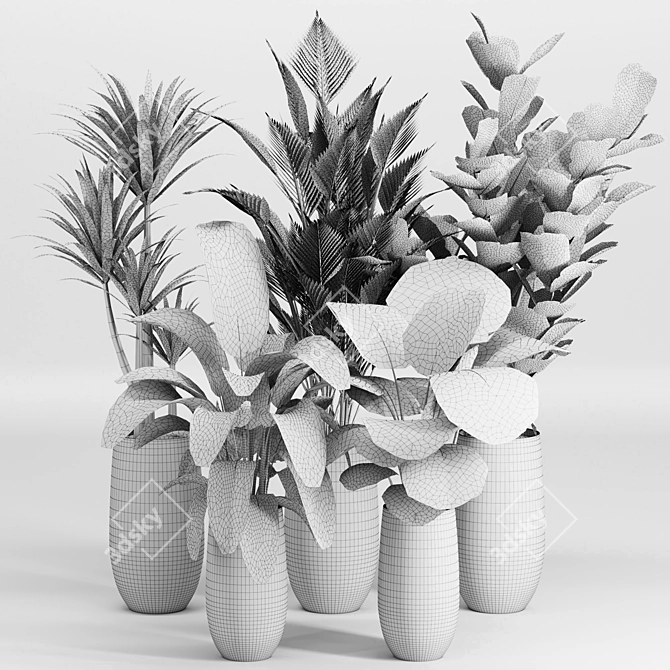 Tropical Indoor Plant Set 3D model image 6