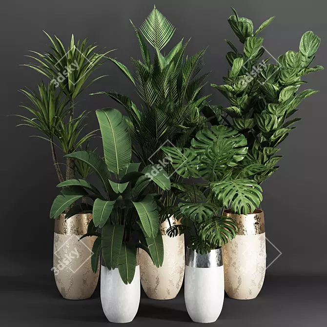 Tropical Indoor Plant Set 3D model image 7