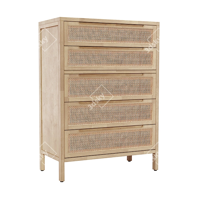 Title: Modern Rattan 5-Drawer Dresser by West Elm 3D model image 1