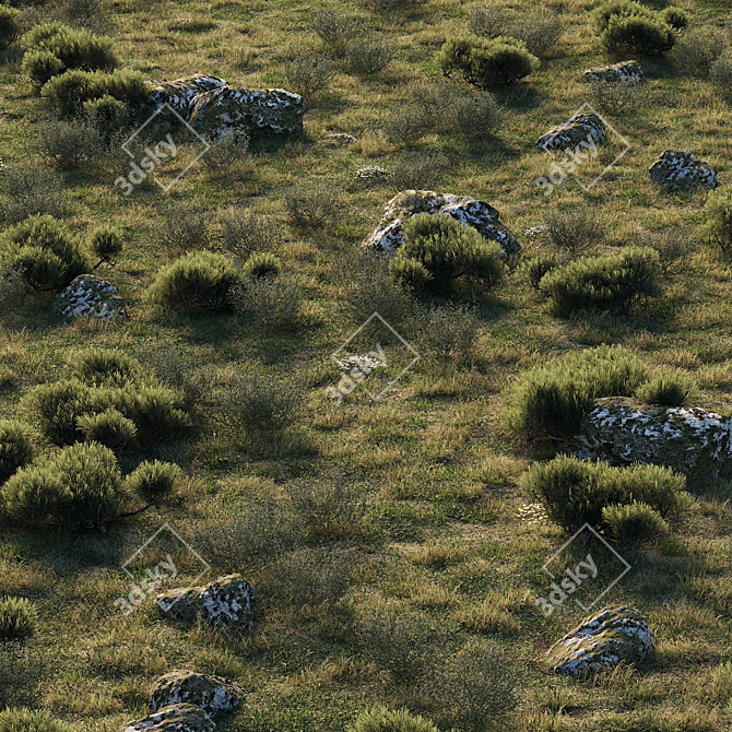 Enchanting Forestscape: Ready-to-Use Corona Scatter Environment 3D model image 5