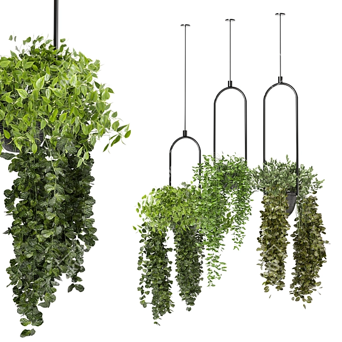 Lush Indoor Hanging Plant Set 3D model image 1