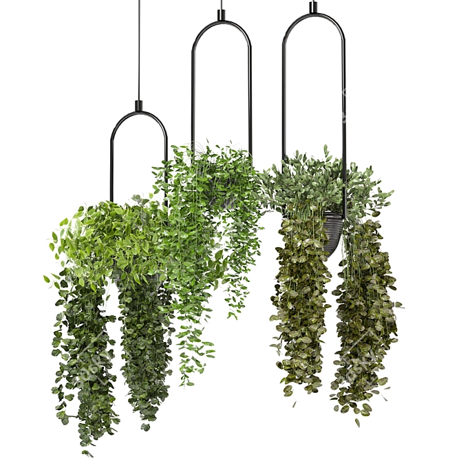 Lush Indoor Hanging Plant Set 3D model image 3